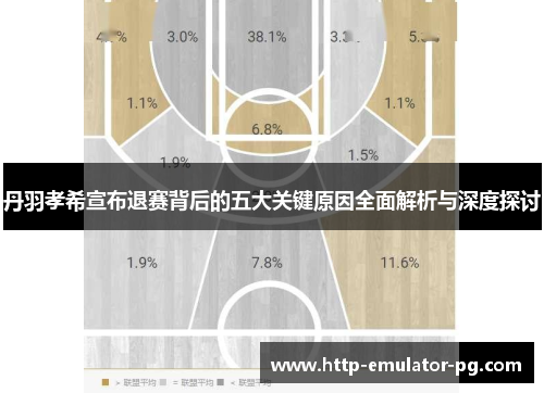 丹羽孝希宣布退赛背后的五大关键原因全面解析与深度探讨