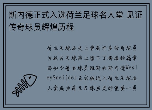 斯内德正式入选荷兰足球名人堂 见证传奇球员辉煌历程